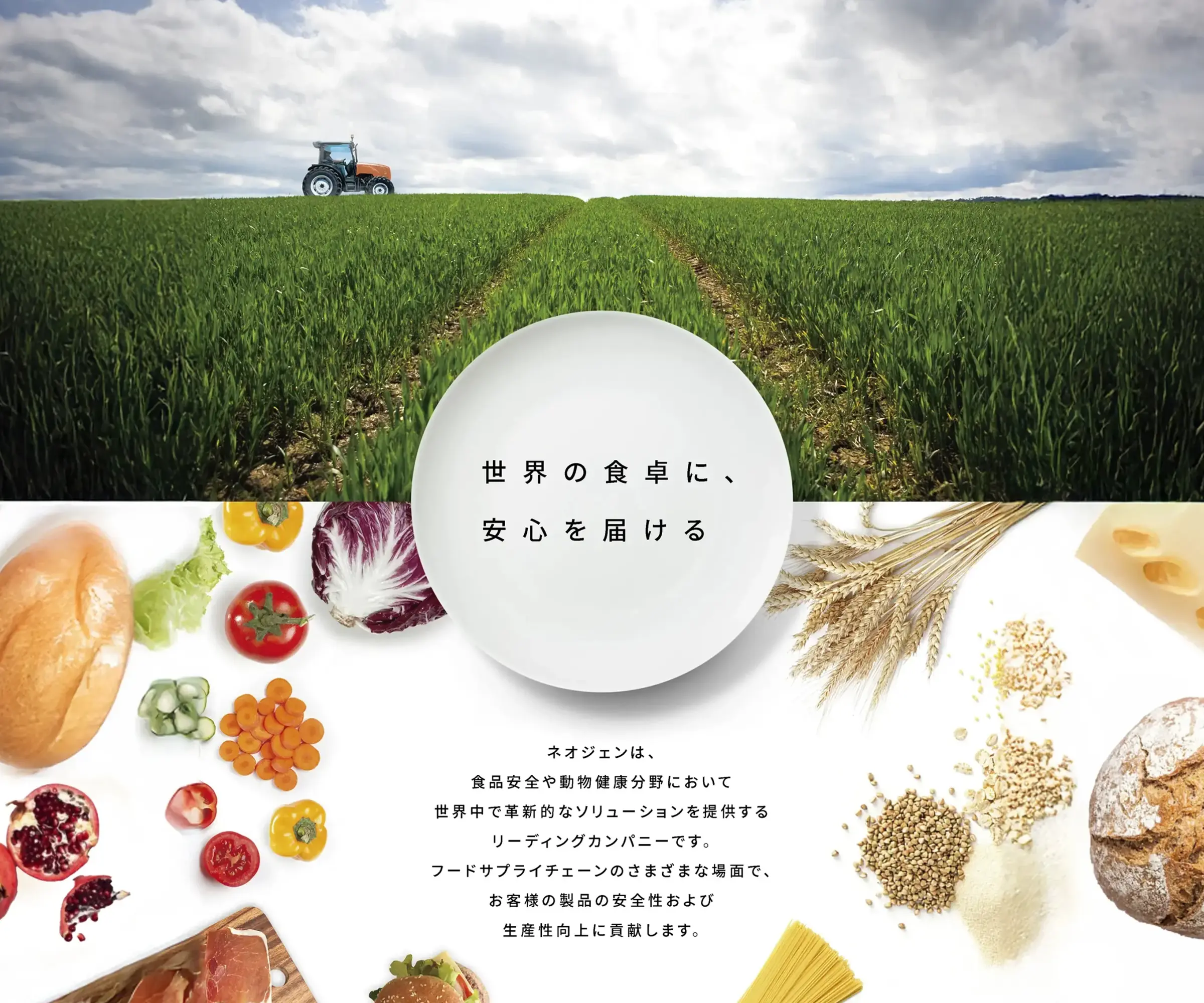 世界の食卓に、安心を届ける