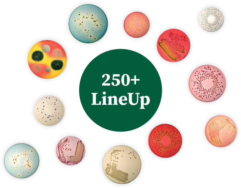 Neogen Culture Media(粉末培地)250+LineUp