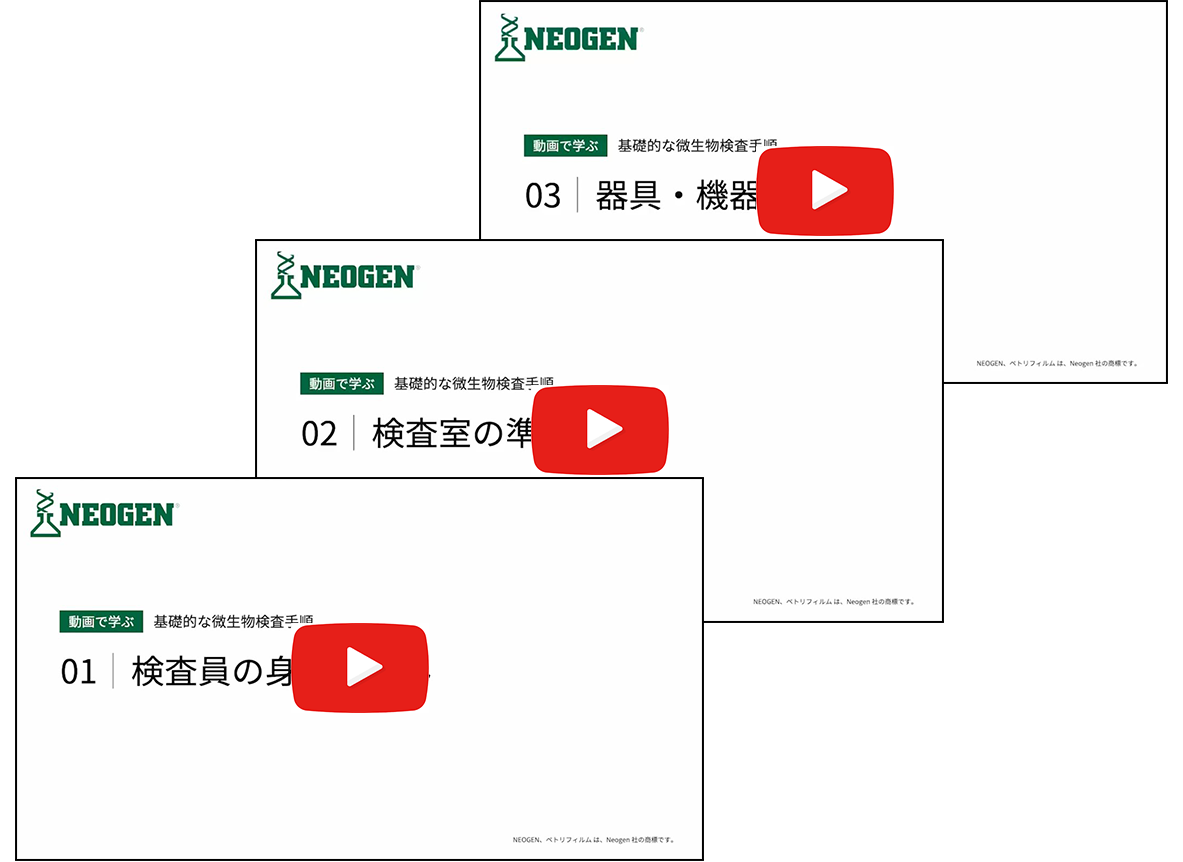 手順動画イメージ