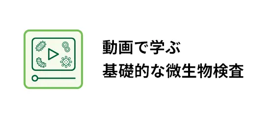 【動画で学ぶ】基礎的な微生物検査手順