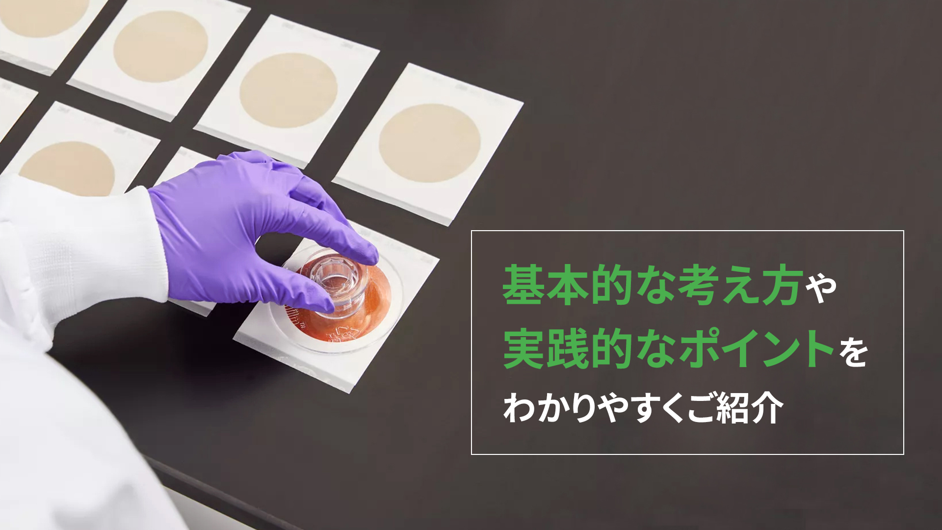 食品微生物検査の​基礎知識