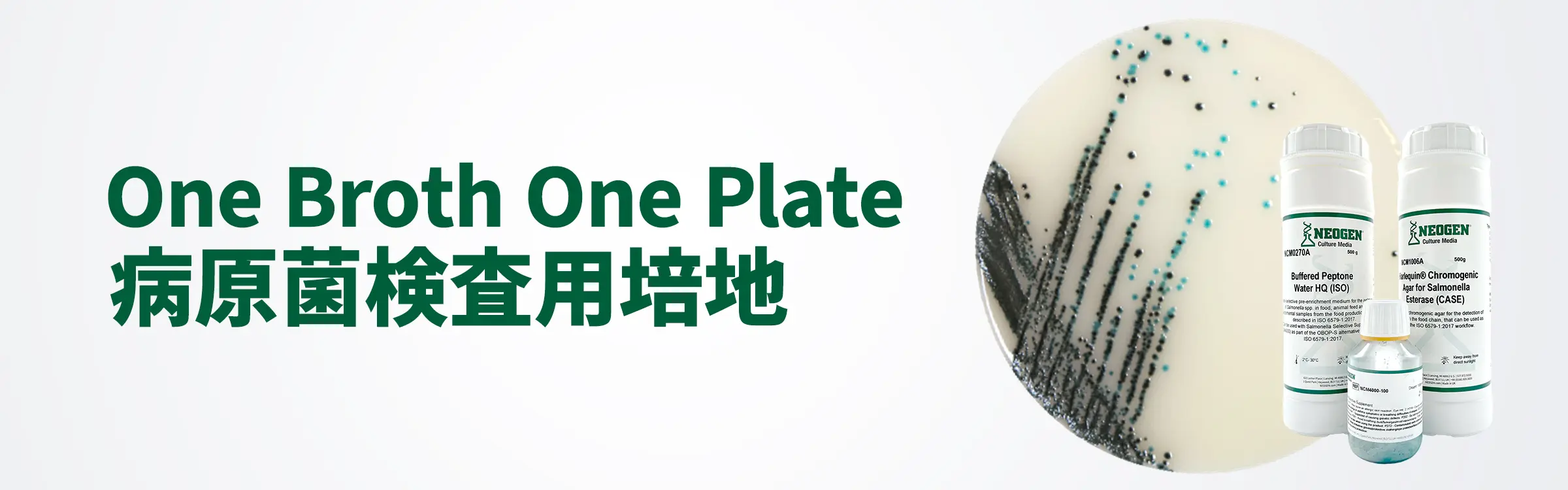 病原菌検査用培地 One Broth One Plate