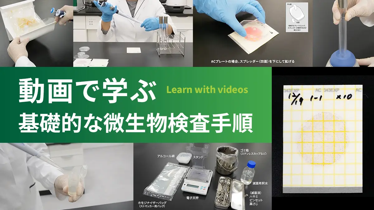動画で学ぶ 基礎的な微生物検査手順イメージ