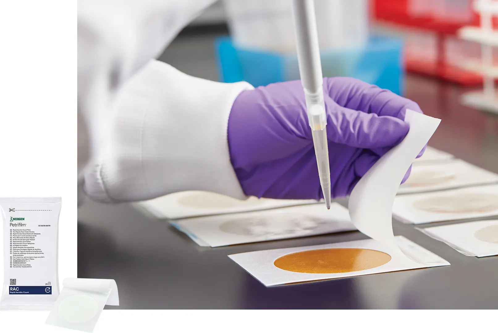 Petrifilm&reg;の写真