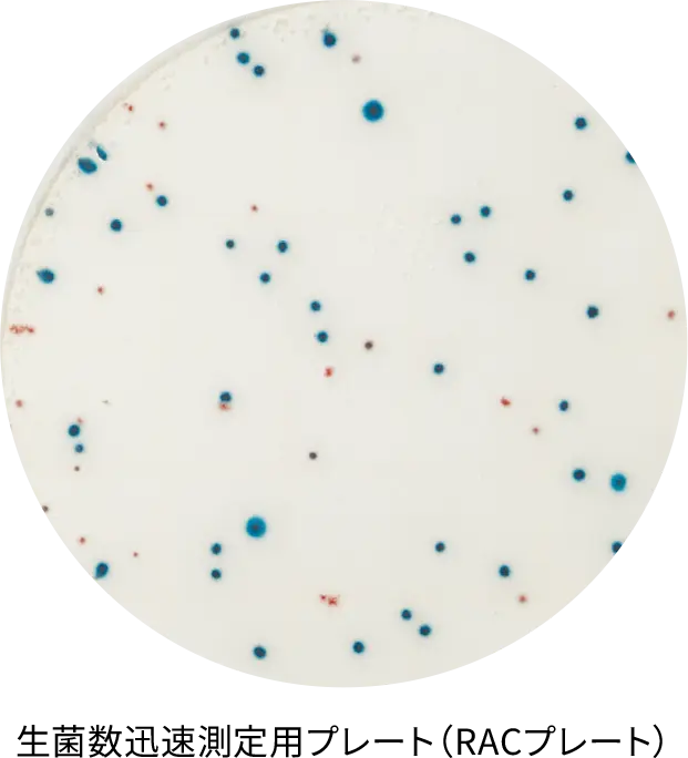 生菌数迅速測定用プレート（RACプレート）