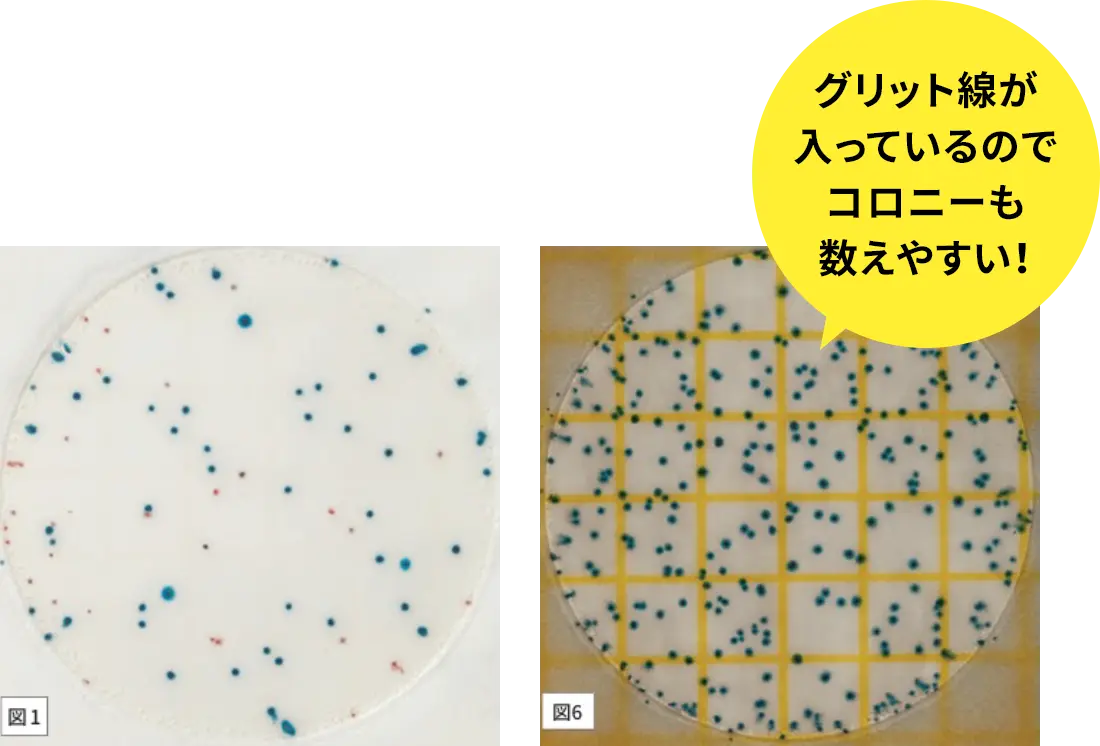 グリット線が入っているのでコロニーも数えやすい！