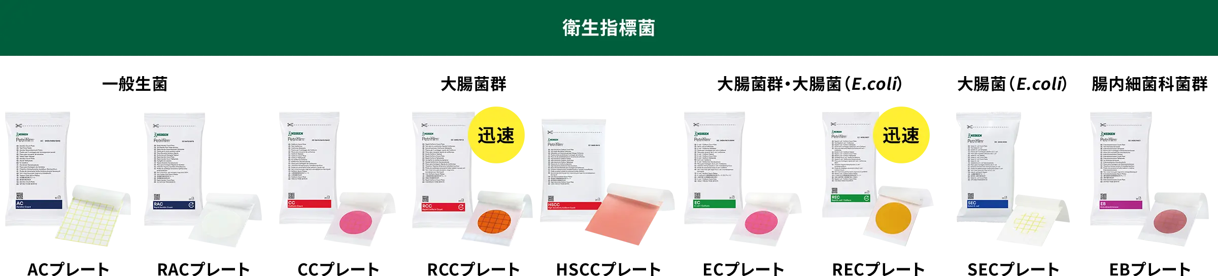 ペトリフィルム&trade; 培地シリーズ ラインナップ（1）