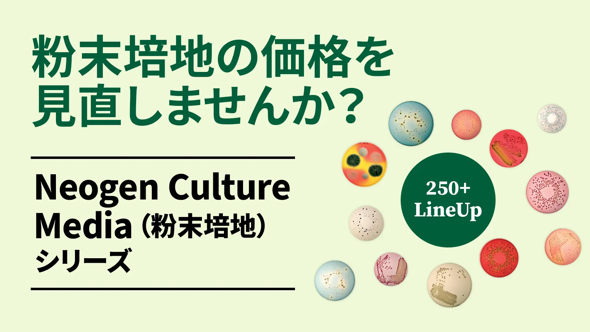 Neogen Culture Media（粉末培地）シリーズ