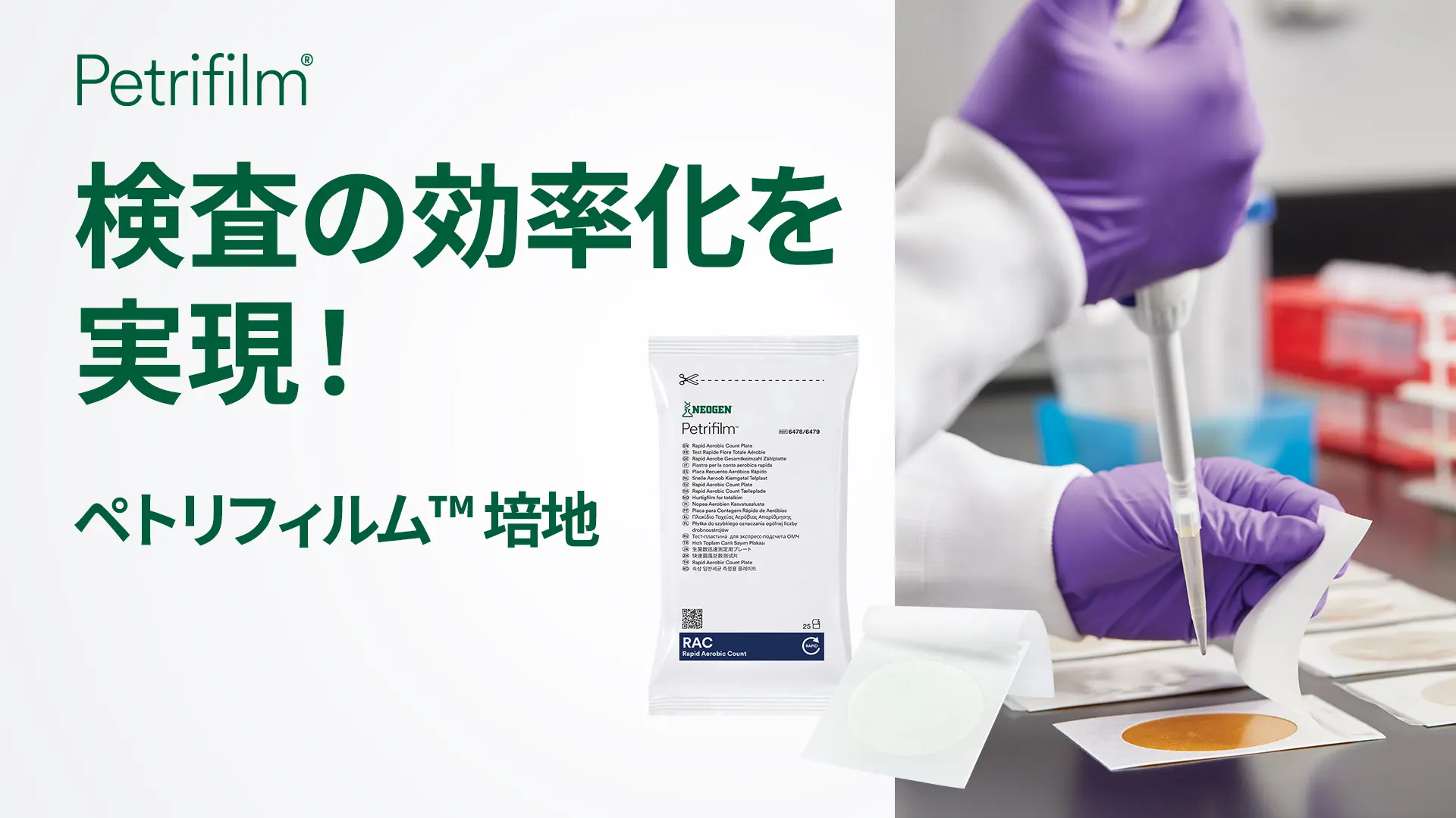 ハイドリ 専用ぺージ ペトリフィルム™ 大腸菌群数測定用プレート（CC