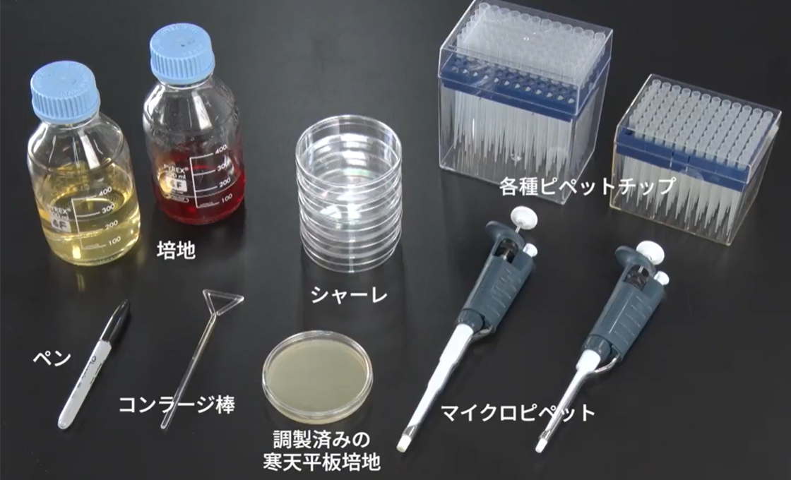 https://neogen.jp/wp-content/uploads/2026/07/le-micro03-02.jpg